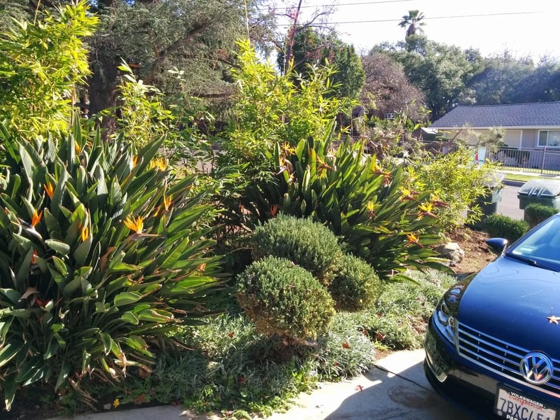 Altadena Modern Ranch - Photo 3