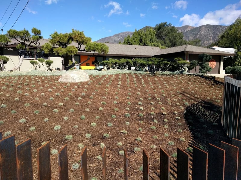 Altadena Modern Ranch - Photo 2