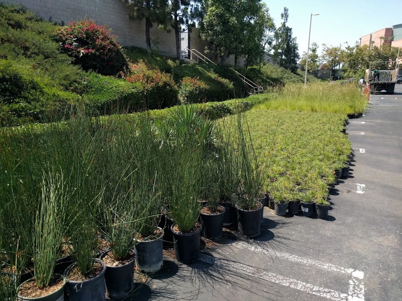 Anaheim Corporate Center - Photo 6