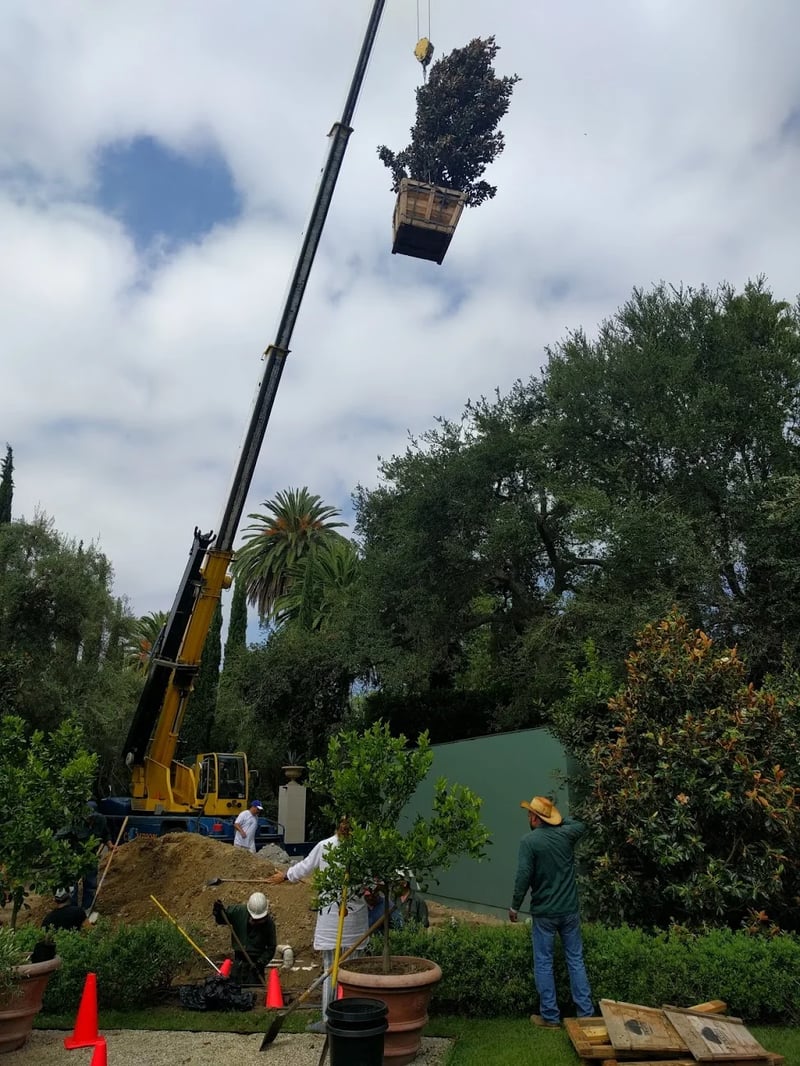 Bel Air Villa - Photo 2