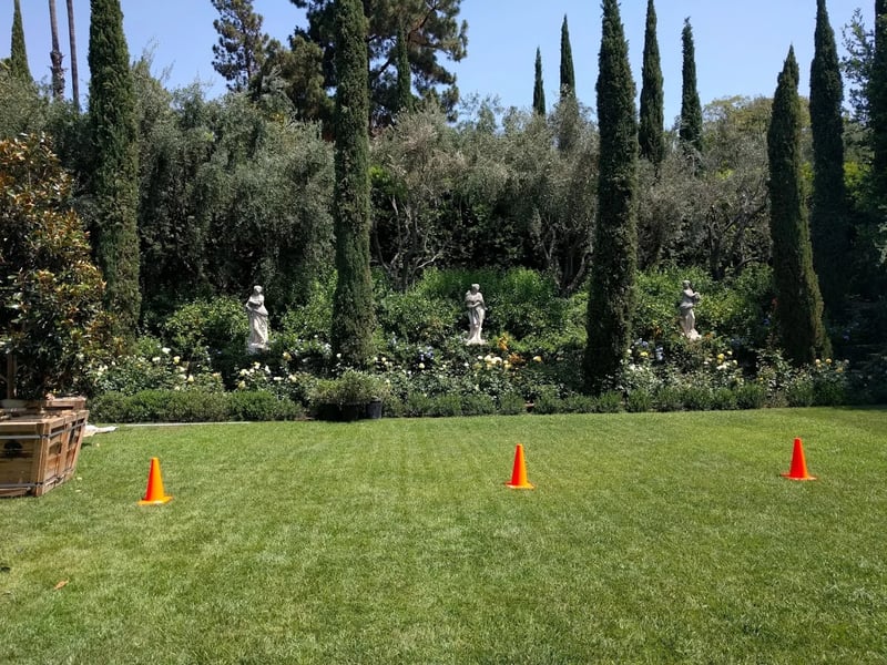 Bel Air Villa - Photo 4
