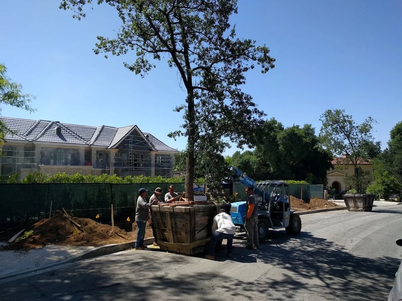 Arcadia Residence - Photo 1