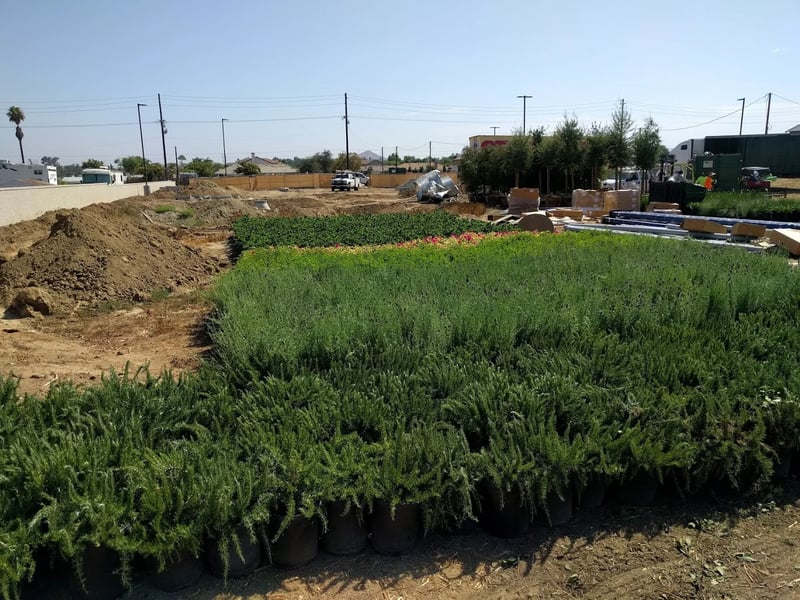 Norco Village - Photo 3