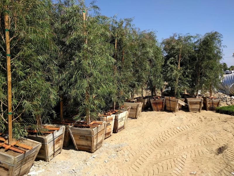 Norco Village - Photo 7