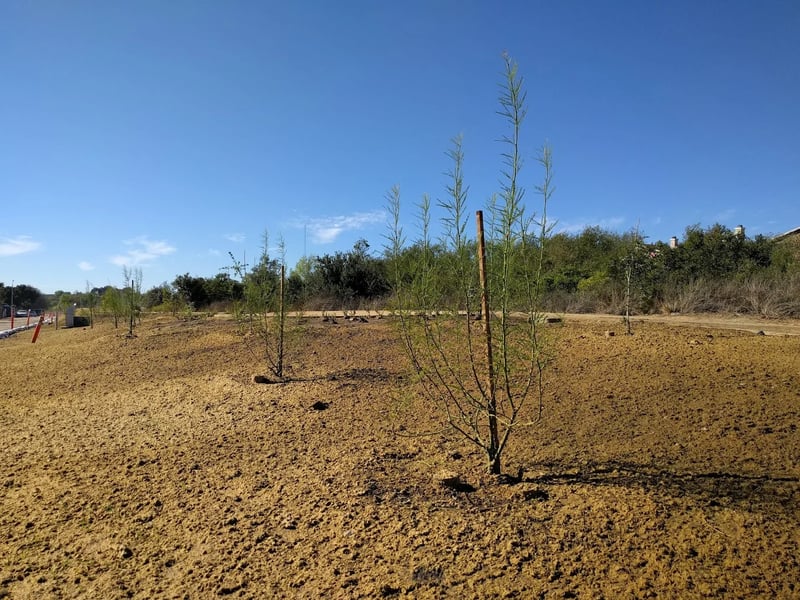 Southcrest Trails Park - Photo 6