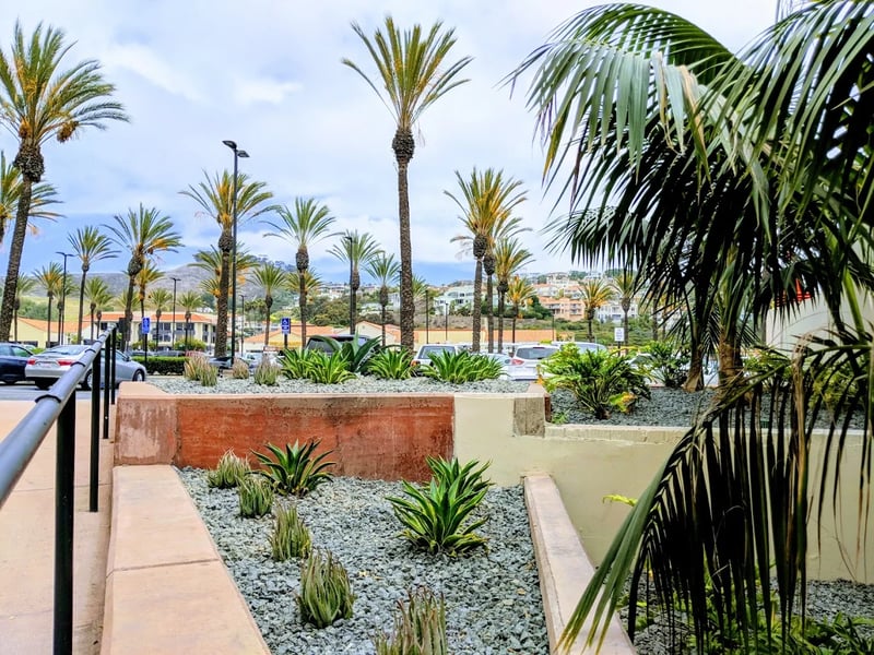 San Clemente Plaza - Photo 2