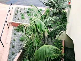 San Clemente Plaza - Photo 3