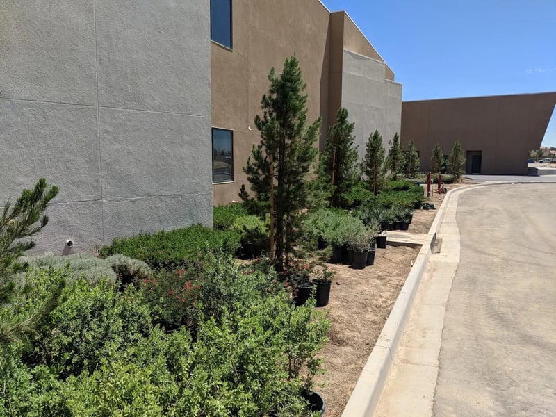 Palmdale Charter School - Photo 4