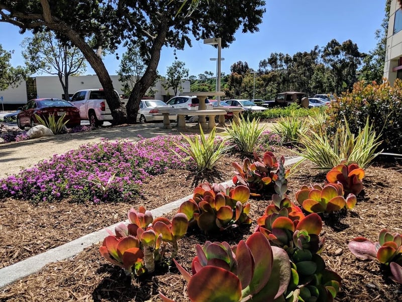Mission Valley Road - Photo 6